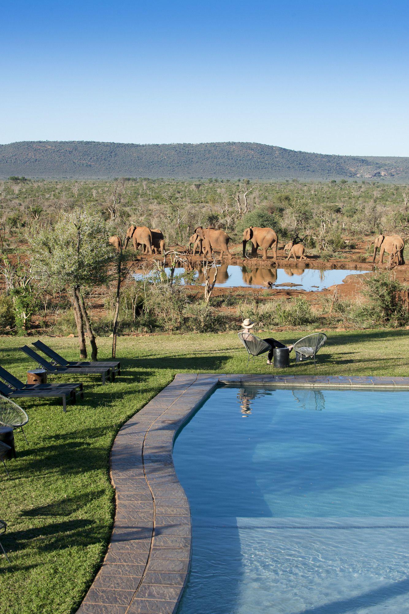 Madikwe Safari Lodge Madikwe Game Reserve Exterior foto