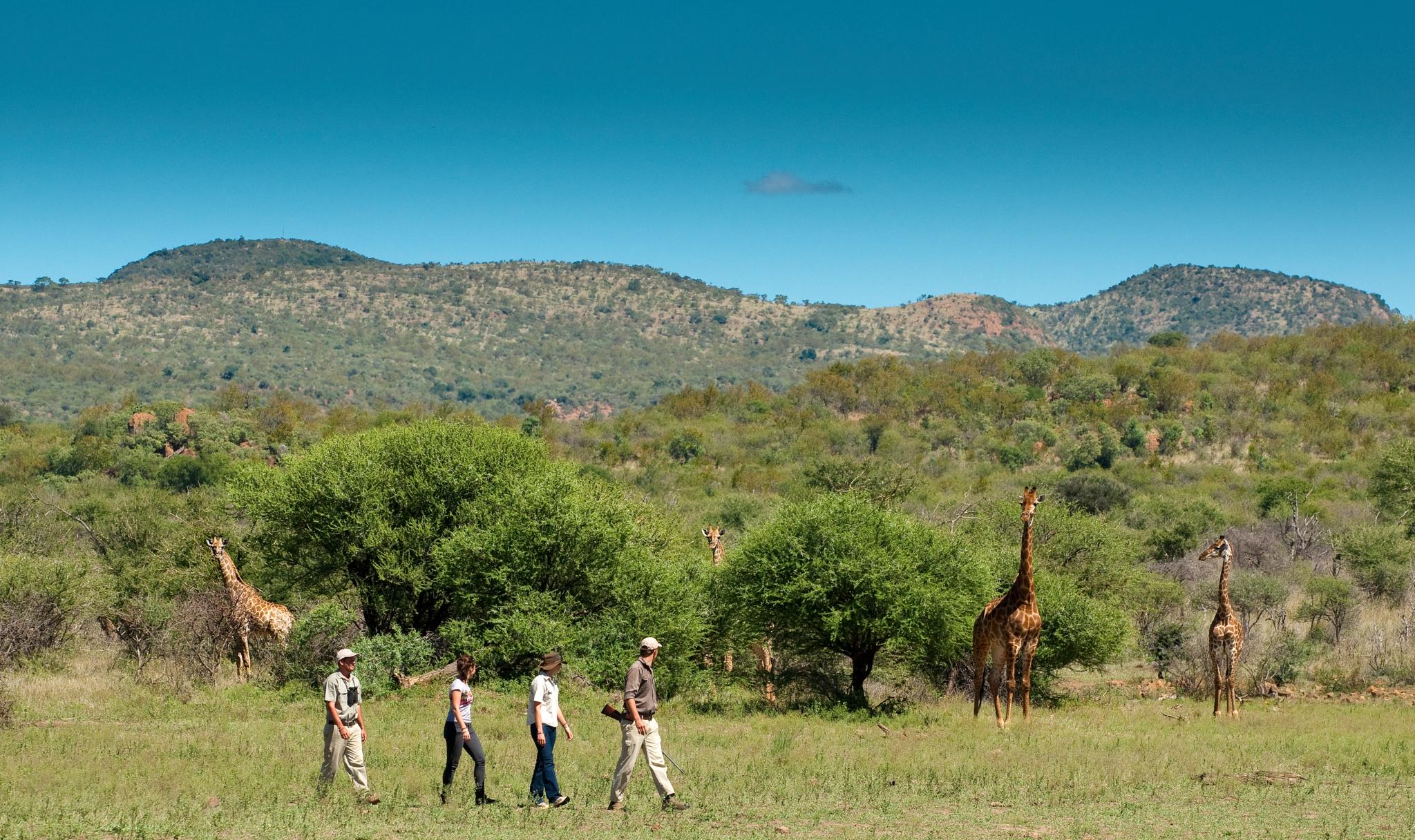 Madikwe Safari Lodge Madikwe Game Reserve Exterior foto